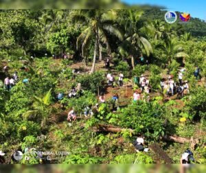 1,200 indigenous trees planted in Aurora watershed